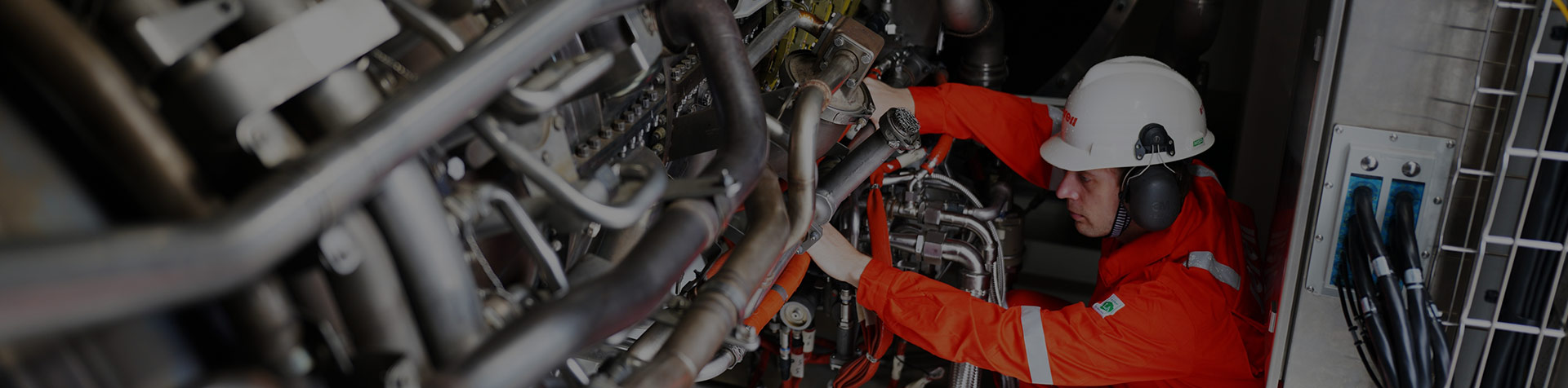 全球电力解决方案领航者